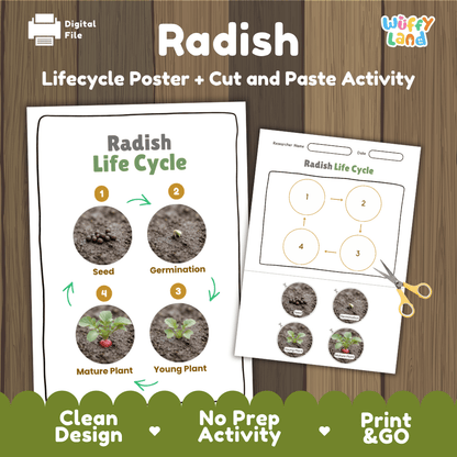 Radish plant life cycle educational printable pack cover showing visual reference poster and cut and paste sequencing worksheet with real photography
