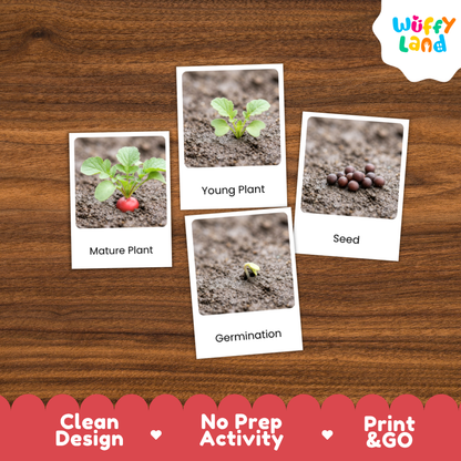 Four labeled educational cards showing plant growth stages ('Mature Plant', 'Young Plant', 'Seed', 'Germination') arranged on a brown wood background, with a 'Wuffy Land' logo in the top right and marketing text along the bottom.