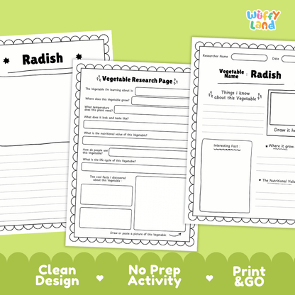 Radish Vegetable Research Page Science Worksheets and Fact Sheet