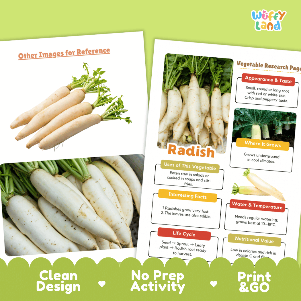 Radish Vegetable Research Page Science Worksheets and Fact Sheet