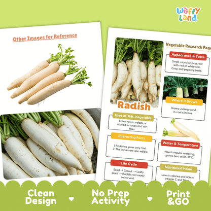 Radish Vegetable Research Page Science Worksheets and Fact Sheet
