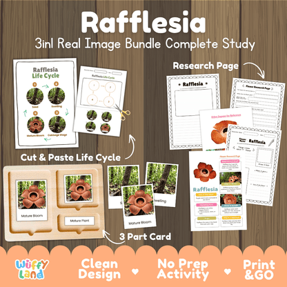 Rafflesia flower 3in1 real image bundle complete study printable featuring life cycle cut and paste worksheets, Montessori 3-part cards, and research pages
