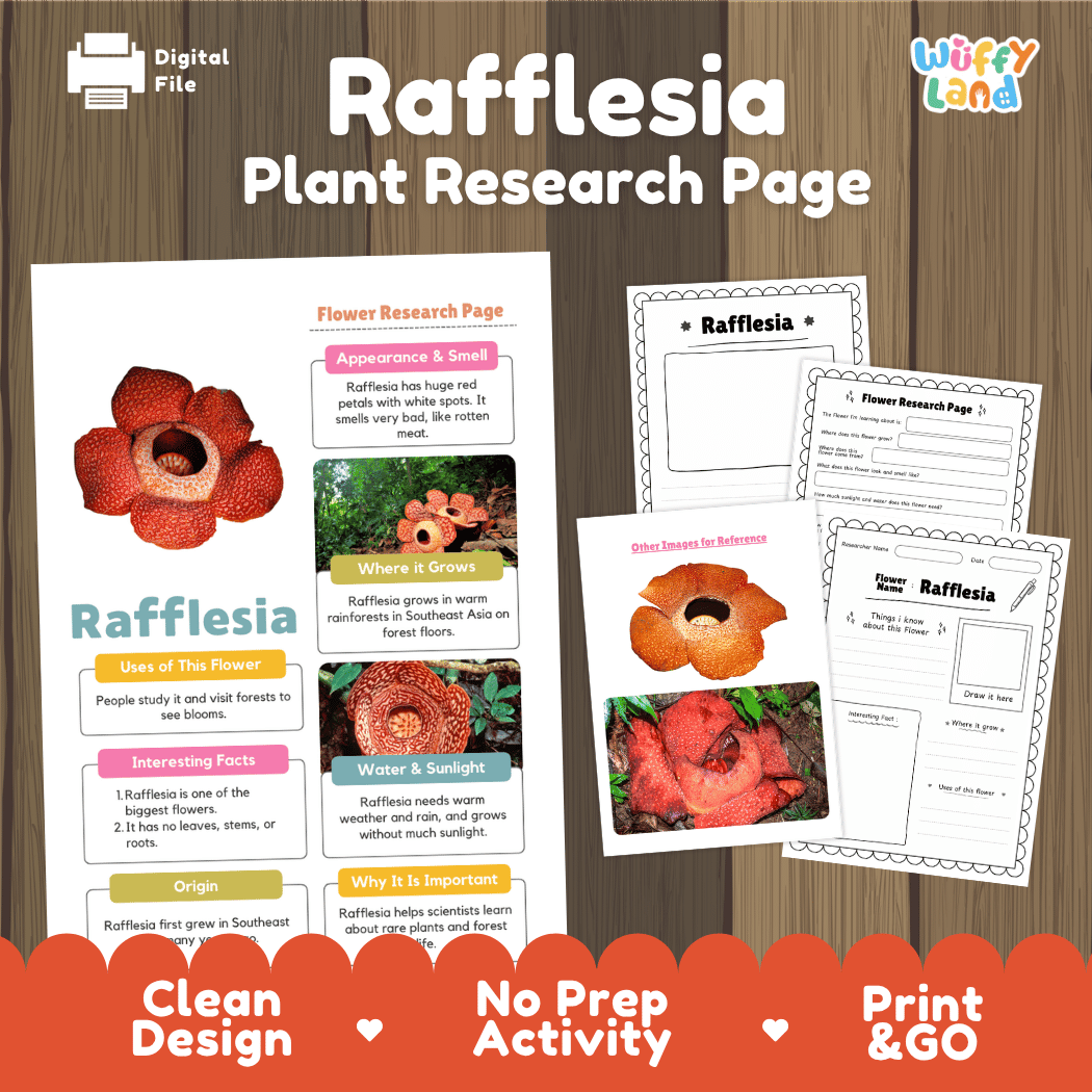 Rafflesia Plant Research Page and Worksheets Print and Go Activity