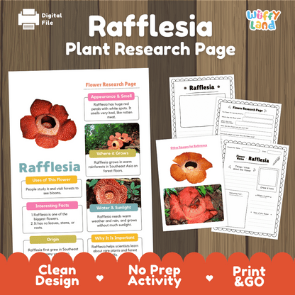 Rafflesia Plant Research Page and Worksheets Print and Go Activity