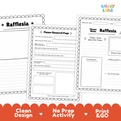 Rafflesia Plant Research Page and Worksheets Print and Go Activity
