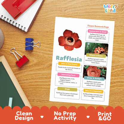 Rafflesia Plant Research Page and Worksheets Print and Go Activity