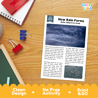 Printable student worksheet with short-answer reading comprehension questions covering rain and weather science