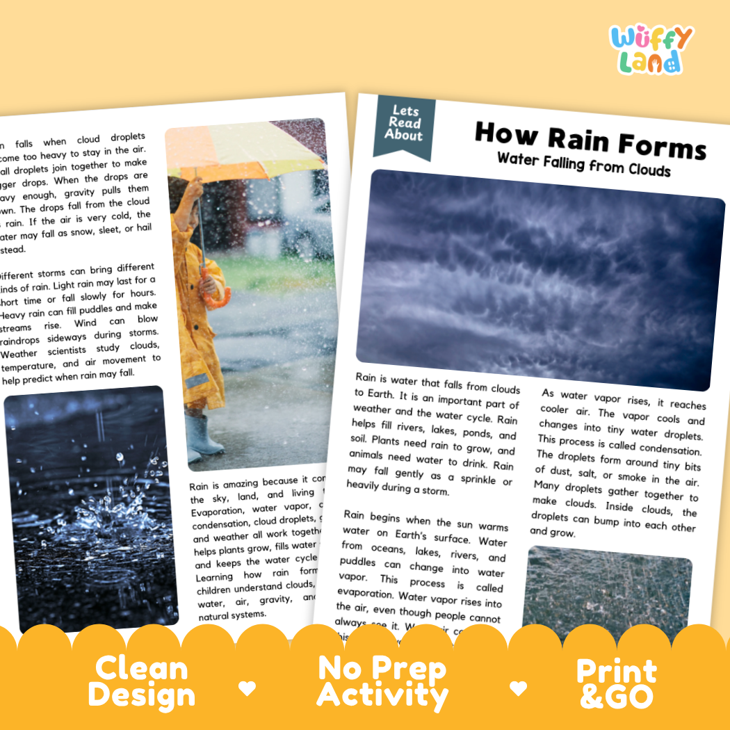 Complete teacher answer key worksheet providing detailed model responses for rain comprehension questions