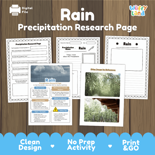 Rain Precipitation Research Page Worksheets Weather Science Activity