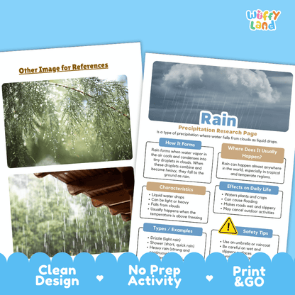 Rain Precipitation Research Page Worksheets Weather Science Activity