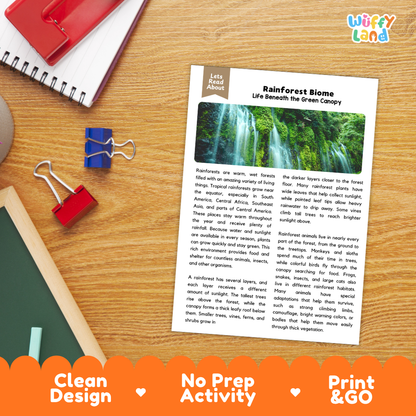 Student reading comprehension worksheet with short-answer questions and lined sections about the rainforest biome