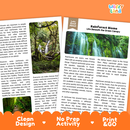 Teacher answer key page showing complete question solutions for Rainforest Biome Earth science and biology reading comprehension practice