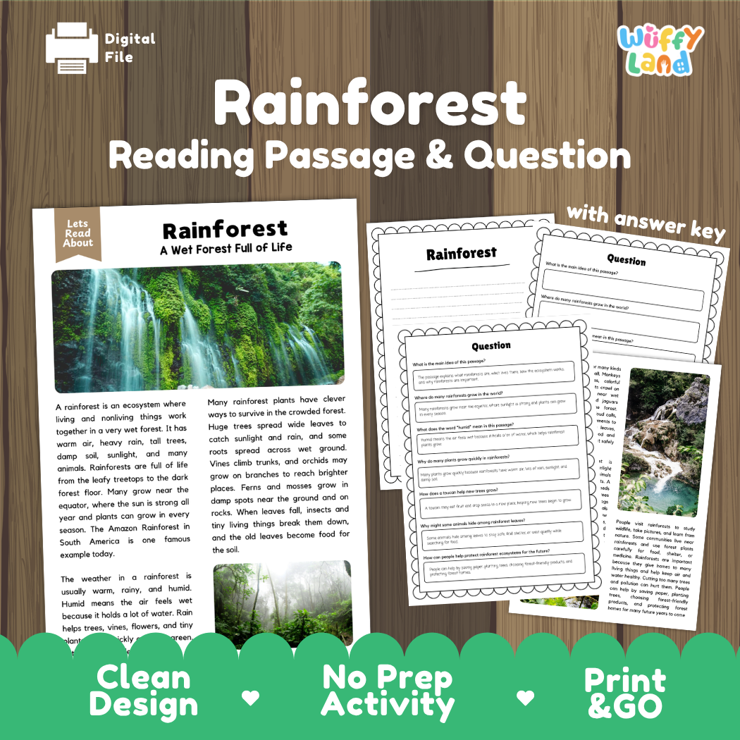Rainforest reading comprehension passage and questions printable activity pack with answer key for elementary students