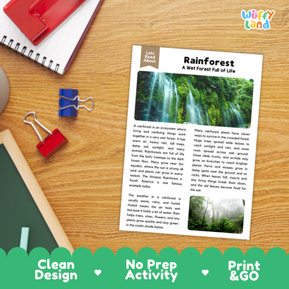 Student reading comprehension worksheet with short-answer questions and lined sections about rainforest ecosystems