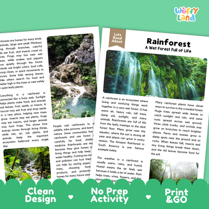 Teacher answer key page showing complete question solutions for rainforest reading comprehension practice