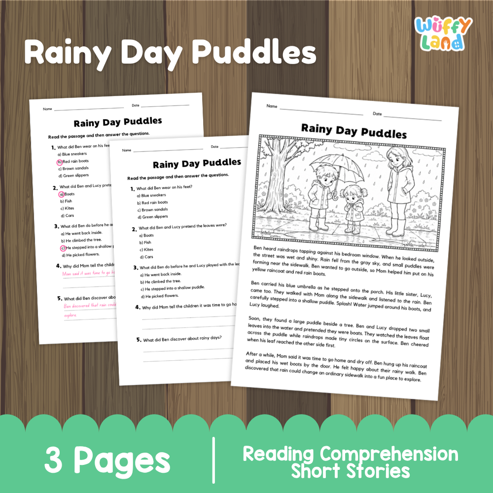 Rainy Day Puddles Reading Comprehension Passage and Questions Worksheets