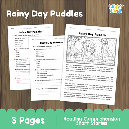 Rainy Day Puddles Reading Comprehension Passage and Questions Worksheets