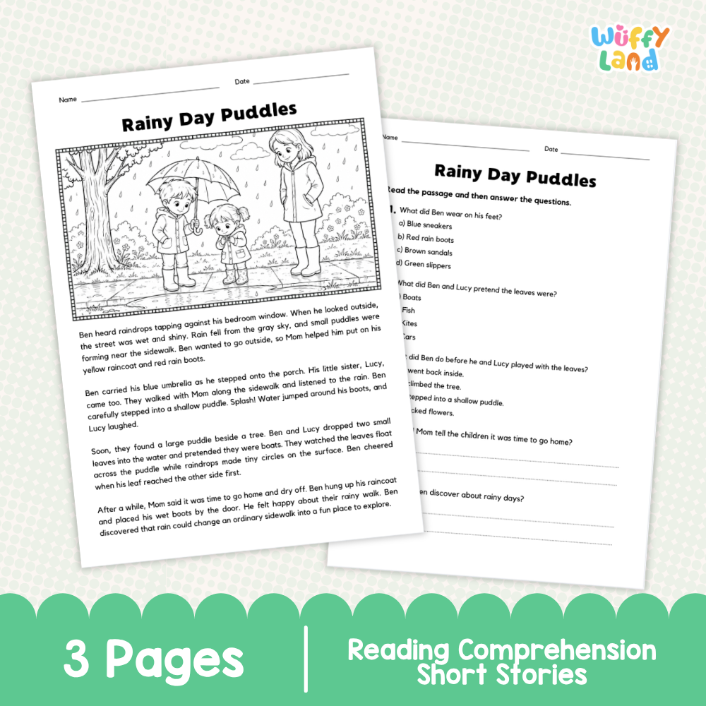 Rainy Day Puddles Reading Comprehension Passage and Questions Worksheets