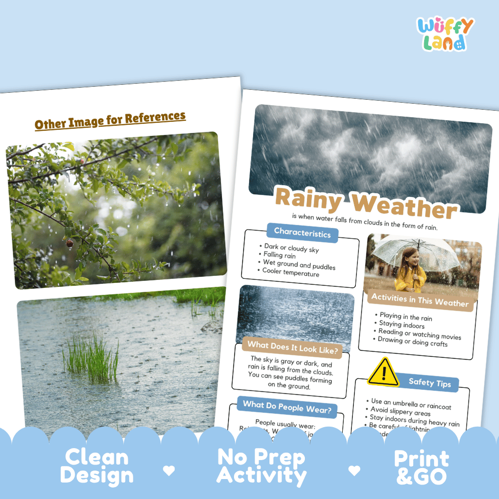 Rainy Weather Research Worksheets and Informational Fact Sheets