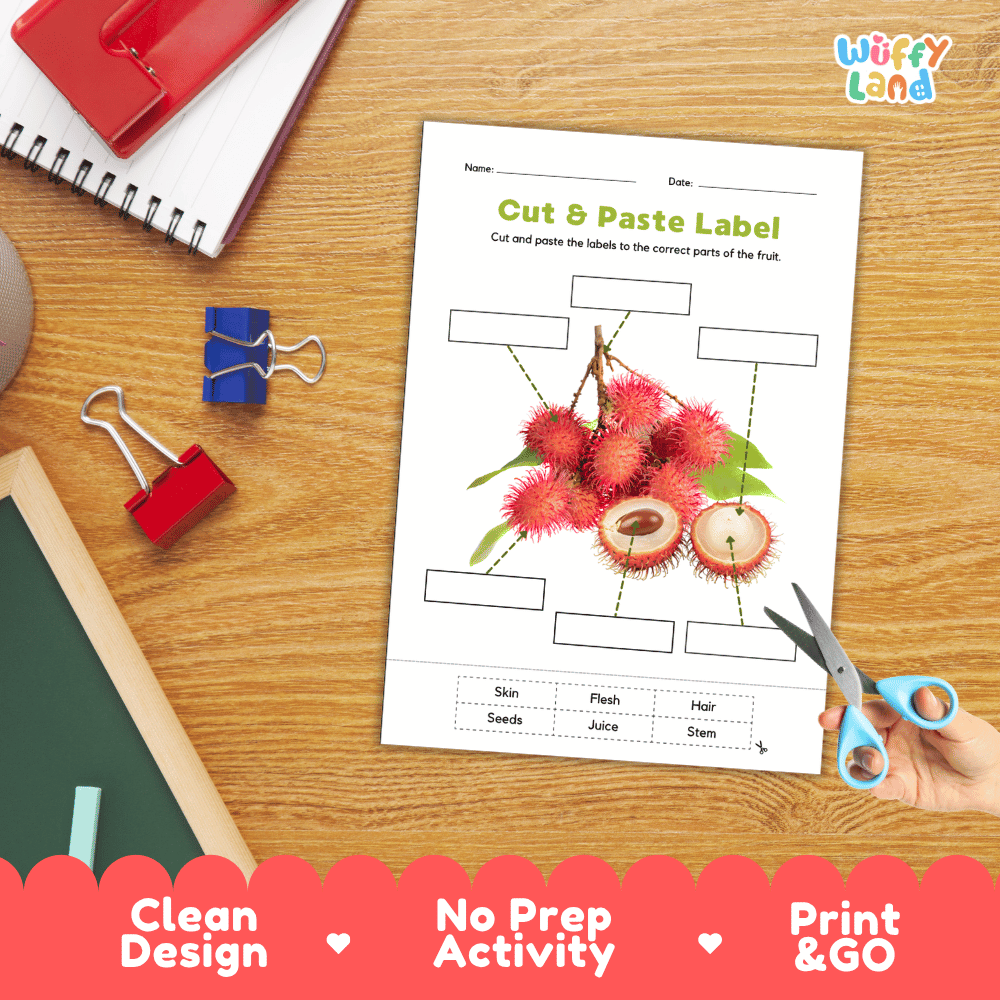 Differentiated rambutan fruit labeling worksheets featuring write-in callout boxes and vocabulary word bank