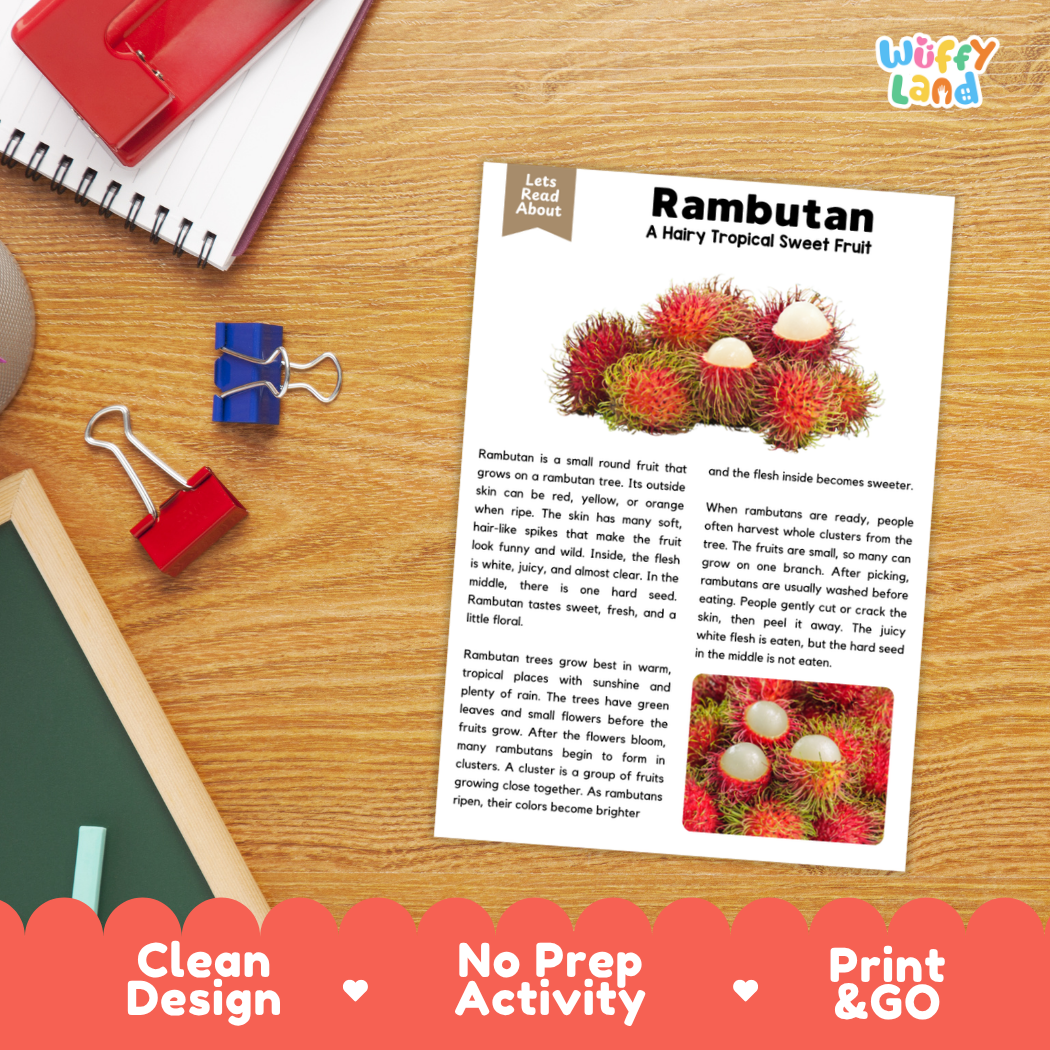 Student reading comprehension worksheet with short-answer questions and lined sections about the rambutan fruit