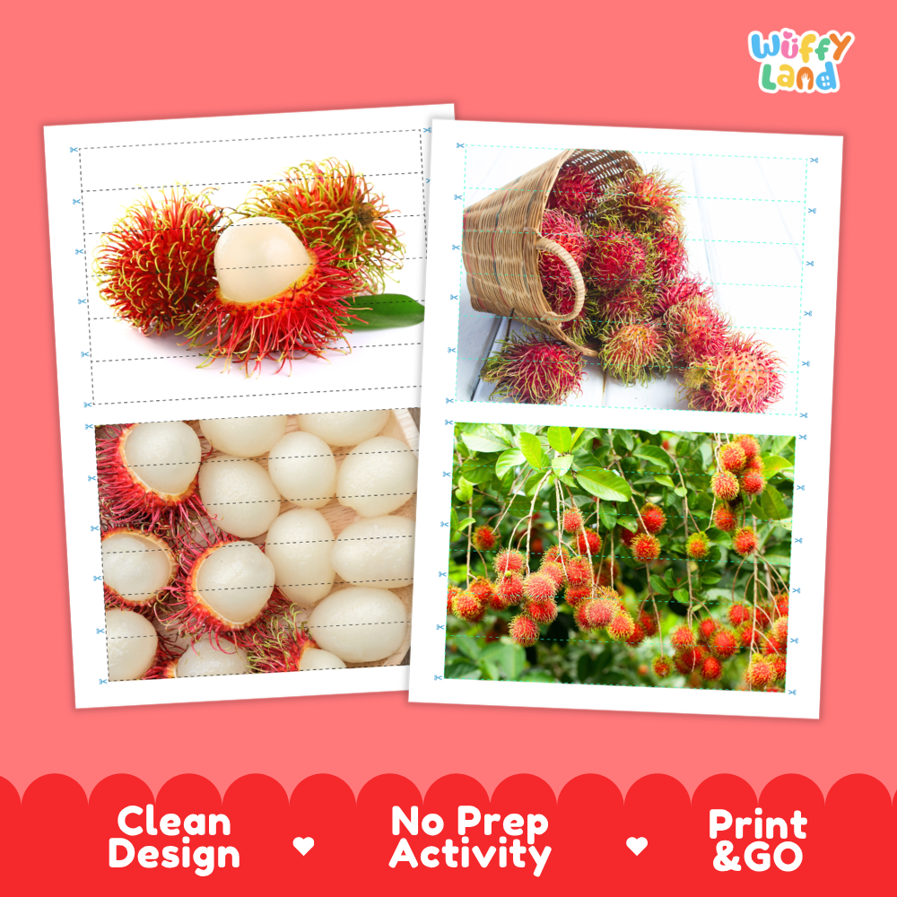 Printable activity sheets featuring photographic rambutan puzzle boards and cutting guides