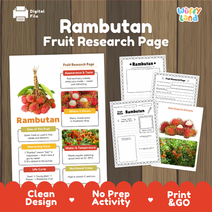Rambutan Fruit Research Page Worksheets and Fact Sheet