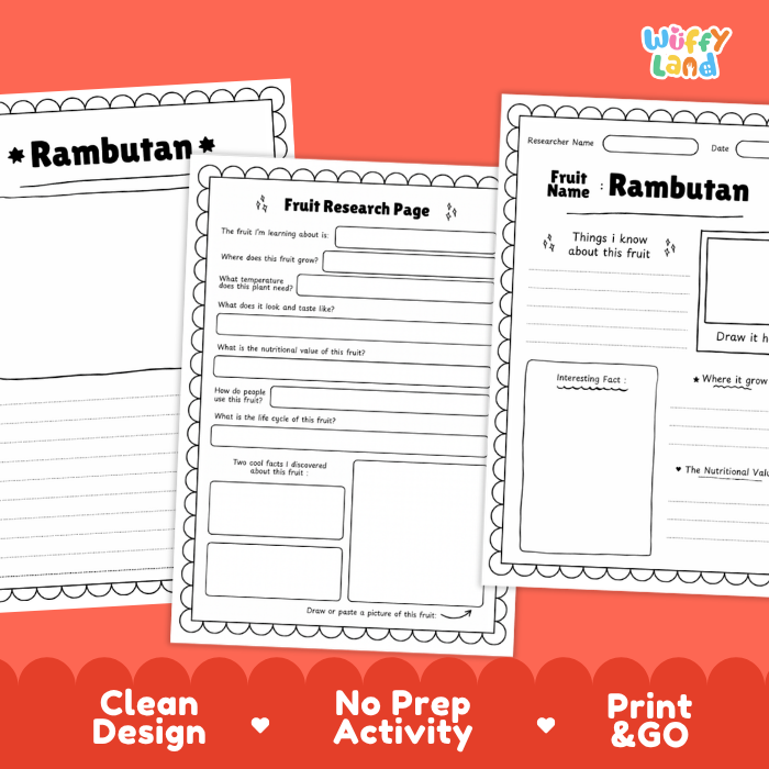 Rambutan Fruit Research Page Worksheets and Fact Sheet