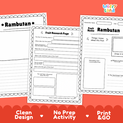 Rambutan Fruit Research Page Worksheets and Fact Sheet