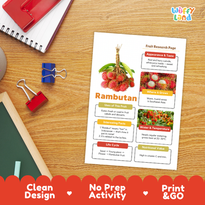 Rambutan Fruit Research Page Worksheets and Fact Sheet