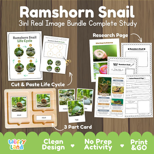 Ramshorn Snail 3-in-1 real image bundle complete study cover showing cut and paste life cycle, 3 part cards, and research pages