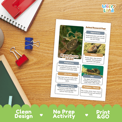 Ramshorn Snail Animal Research Worksheets and Informational Fact Sheets