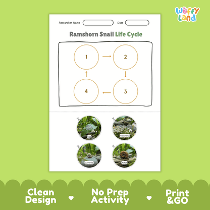 Ramshorn Snail Life Cycle Poster and Cut and Paste Activity Worksheet