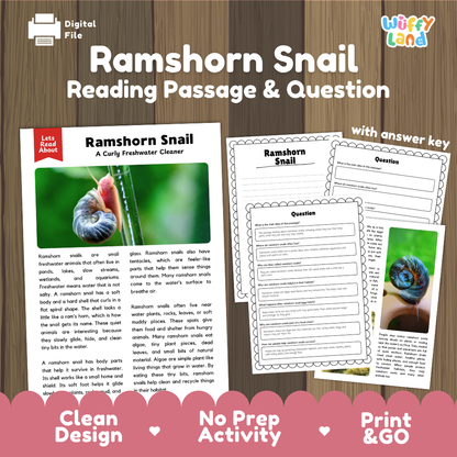 Digital reading activity product for 'Ramshorn Snail' featuring a reading passage, worksheet, and question pages, displayed on a wood background with branding for 'Wiffly Land' and 'Let's Read Aloud'.