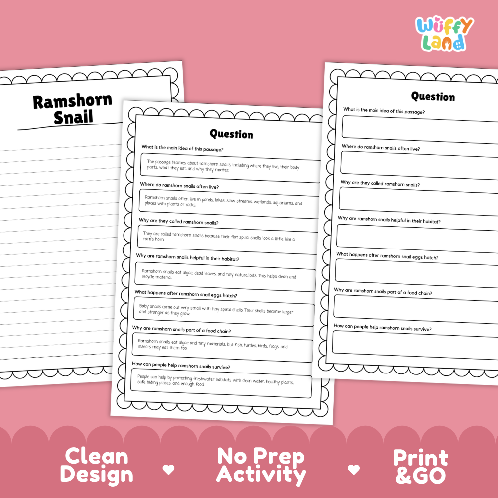 Three printable worksheet pages for a 'Ramshorn Snail' science activity are displayed on a pink background with decorative scalloped borders. The pages feature black text and lines on white paper, with the brand name 'Wiffi Land' in the top right corner.
