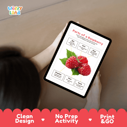 Educational cut and paste raspberry anatomy worksheet with printable word cutout tiles for skin, stem, juice, drupelets, flesh, and seeds