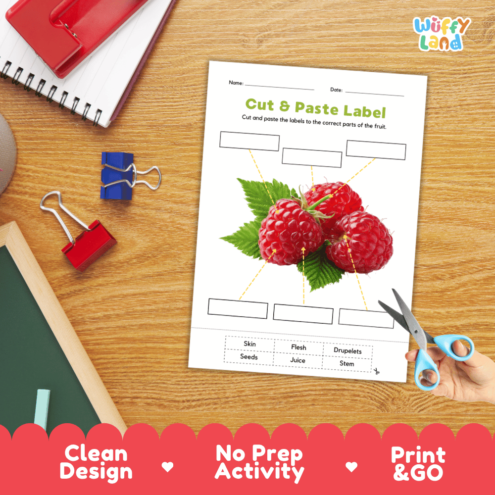 Printable plant biology worksheet showing realistic red raspberries with blank labeling boxes and a vocabulary word bank for writing practice