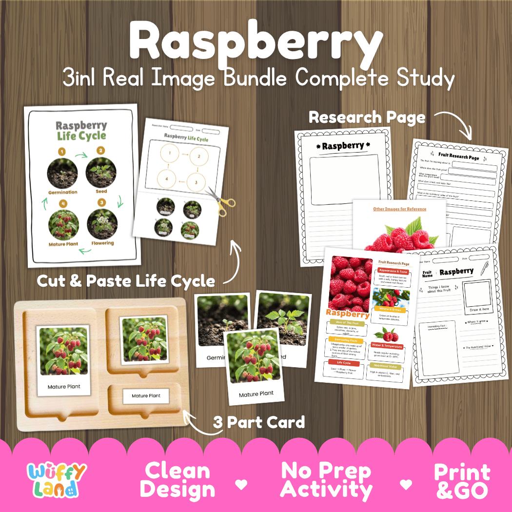 Complete Raspberry 3-in-1 real image study bundle featuring cut and paste worksheets, Montessori 3-part cards, and research pages 🍓🌱
