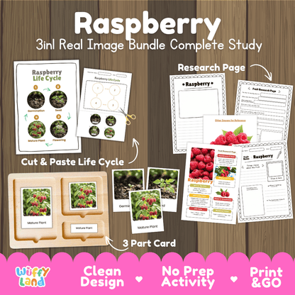 Complete Raspberry 3-in-1 real image study bundle featuring cut and paste worksheets, Montessori 3-part cards, and research pages 🍓🌱