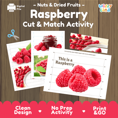 Raspberry Cut and Match Activity Worksheets | Nuts and Dried Fruits Puzzle Printables