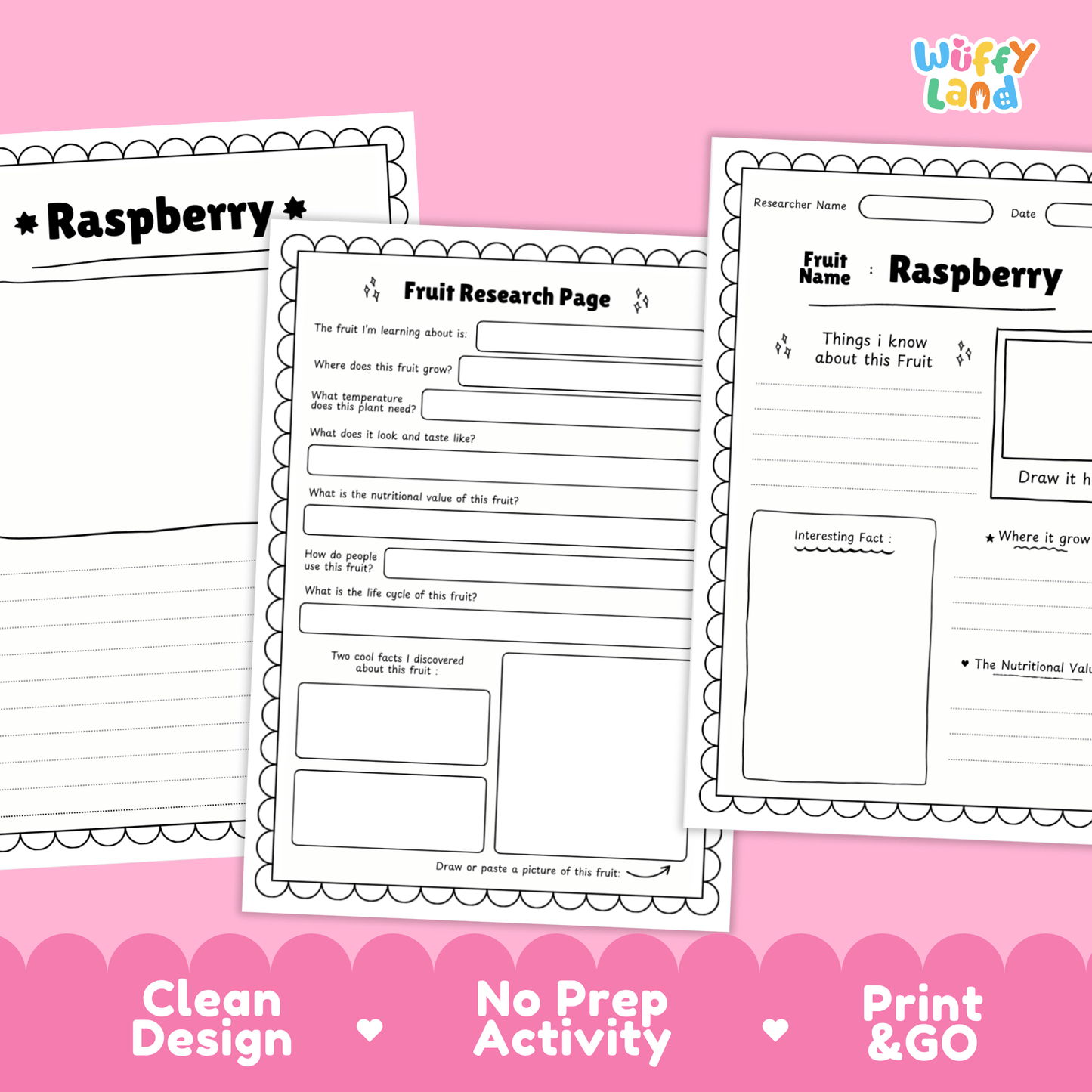 Raspberry Fruit Research Activity Worksheet Science Healthy Eating Summer