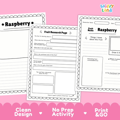 Raspberry Fruit Research Activity Worksheet Science Healthy Eating Summer