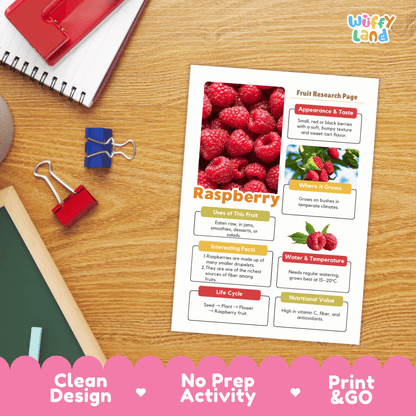 Raspberry Fruit Research Activity Worksheet Science Healthy Eating Summer