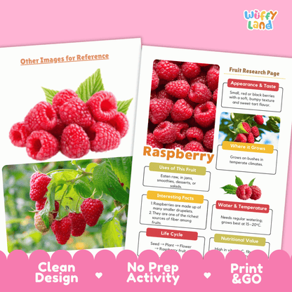 Raspberry Fruit Research Activity Worksheet Science Healthy Eating Summer