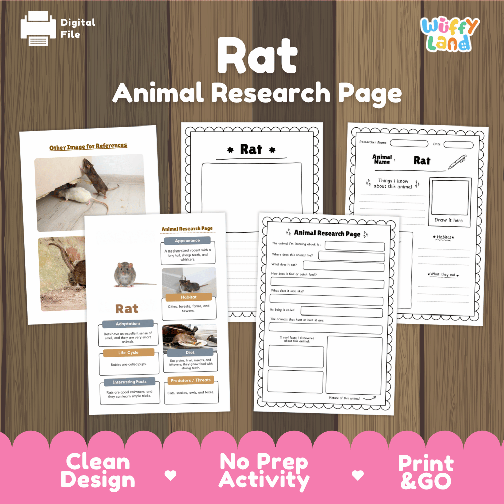 Rat Animal Research Page Worksheets and Fact Sheet Activity