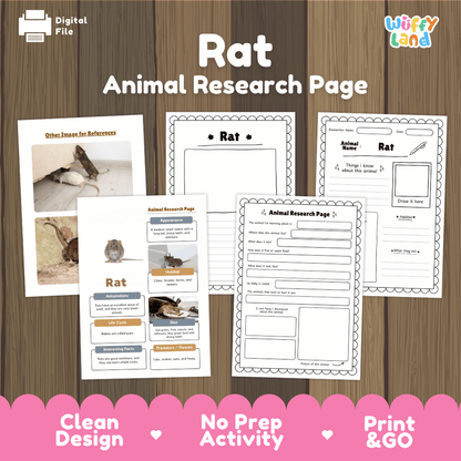 Rat Animal Research Page Worksheets and Fact Sheet Activity