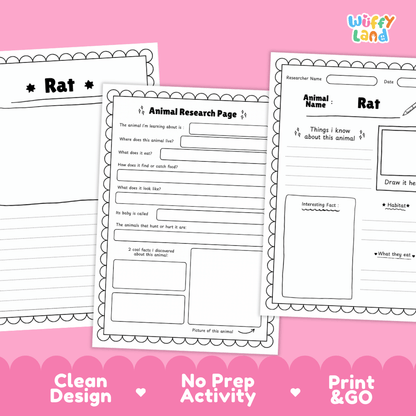 Rat Animal Research Page Worksheets and Fact Sheet Activity