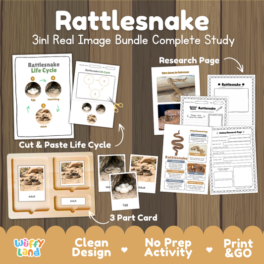 Rattlesnake 3-in-1 real image bundle complete study cover showing cut and paste life cycle, 3 part cards, and research pages