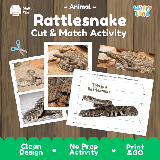 Rattlesnake Cut and Match Activity Worksheets | Animal Puzzle Printables