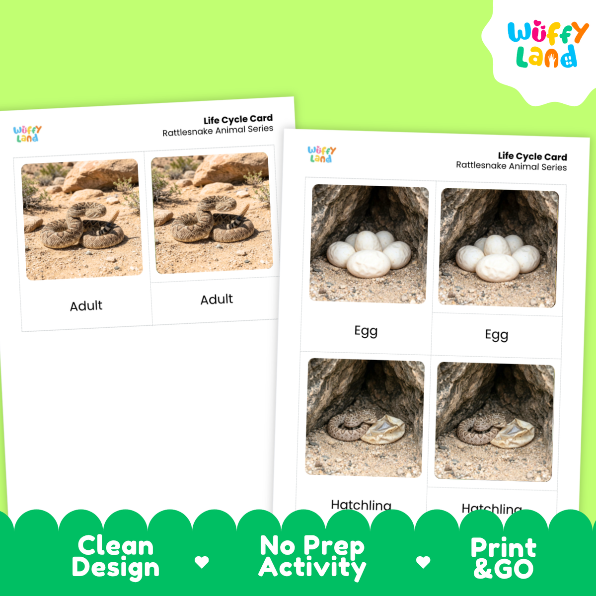 Rattlesnake Life Cycle Flashcards 3 Part Cards Montessori Science Activity